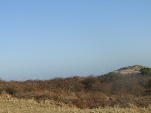 NWK 2010 214.jpg